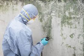 Best Mold Removal for HVAC Installations  in Brooksi, DE